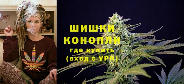 прущие грибы Туринск
