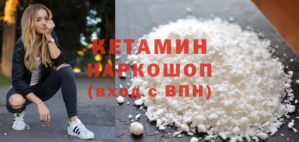прущие грибы Туринск