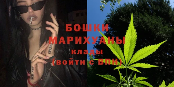 прущие грибы Туринск