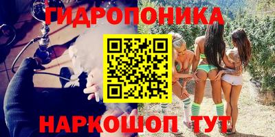 хмурый Бийск