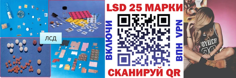 дарнет шоп  Выборг  Лсд 25 экстази кислота 