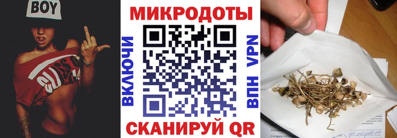 как найти   Выборг  Галлюциногенные грибы MAGIC MUSHROOMS 
