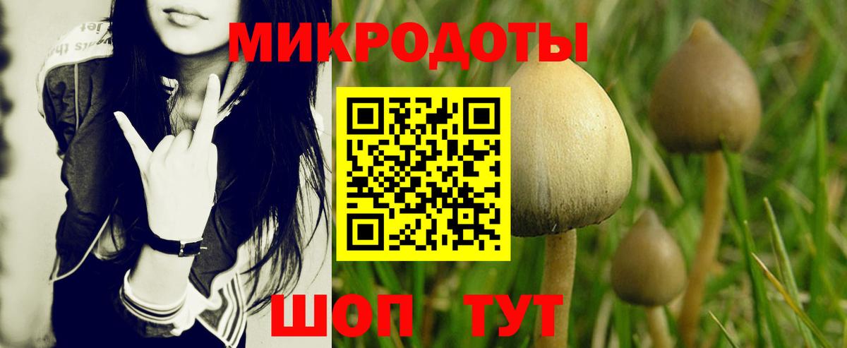 Выборг  Галлюциногенные грибы MAGIC MUSHROOMS  Вход с VPN 