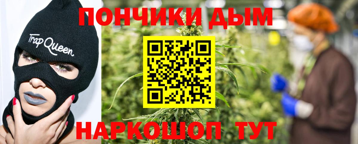 Шишки марихуана марихуана  Вход с VPN  Бошки Шишки марихуана  Марихуана ГИДРОПОН  Выборг 